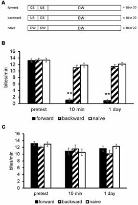 Monoamines, Insulin and the Roles They Play in Associative Learning in Pond Snails